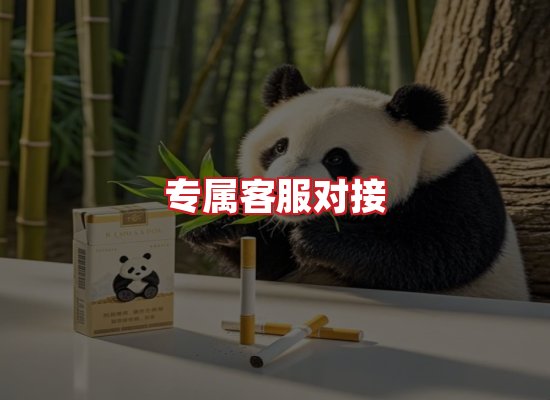 专业团队